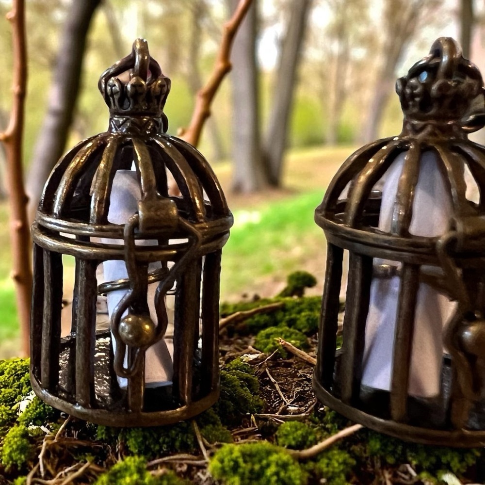 Miniature birdcage earrings with a paper scroll that you can write on